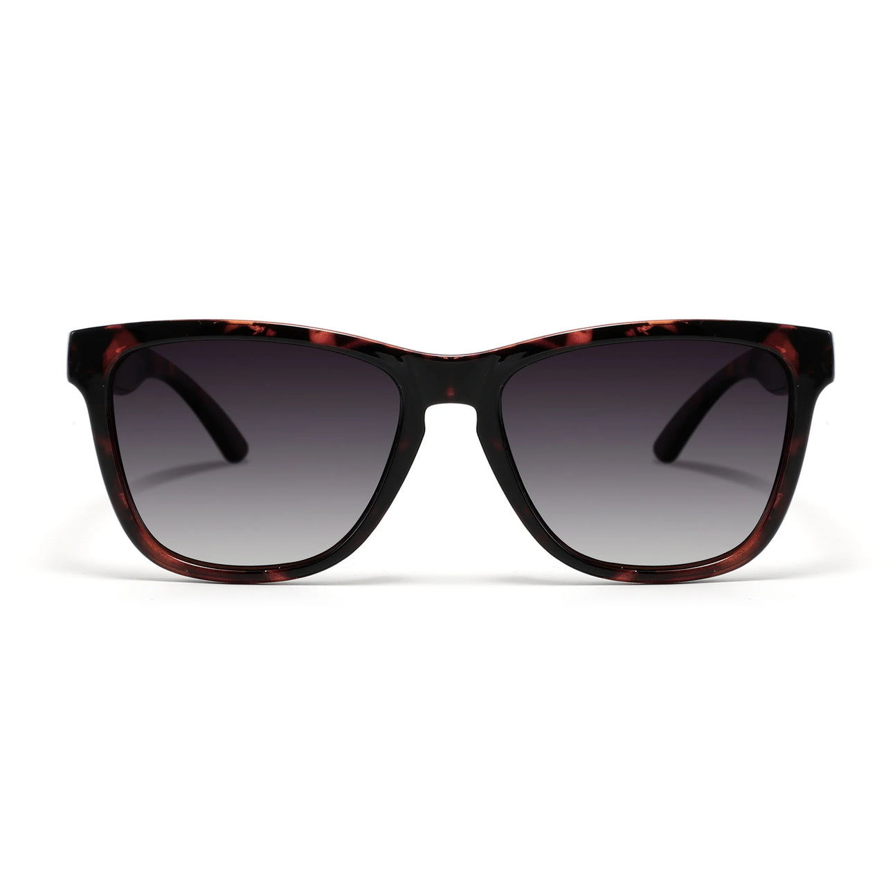 Jordan - Tortoiseshell