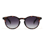 Leo - Tortoiseshell